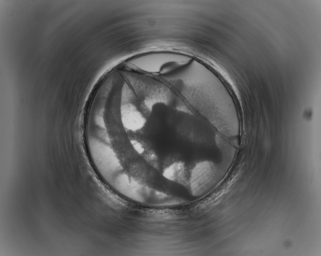 X0000099501045200806121411