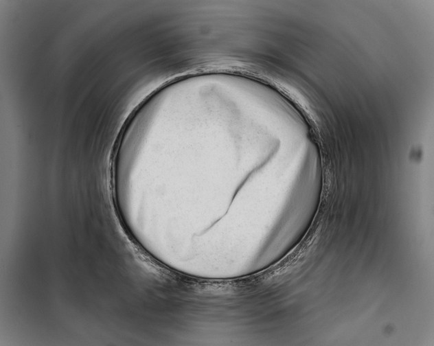 X0000099501047200806121411