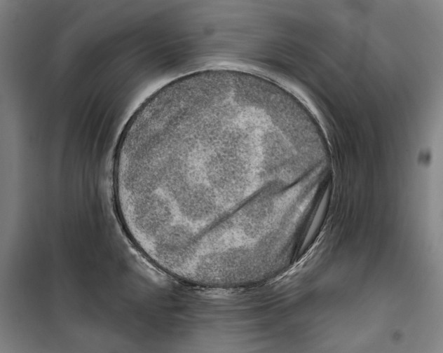 X0000099501048200806121411