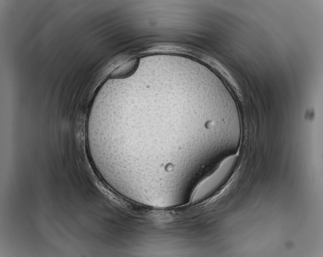 X0000099501049200806121411