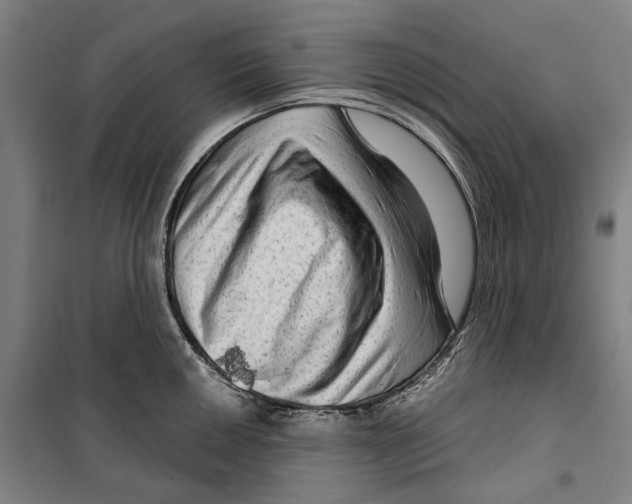 X0000099501050200806121411