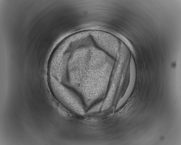 X0000099501051200806121411