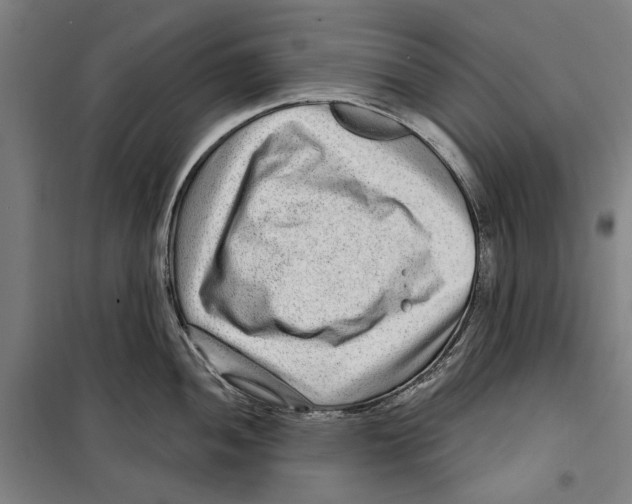 X0000099501052200806121411