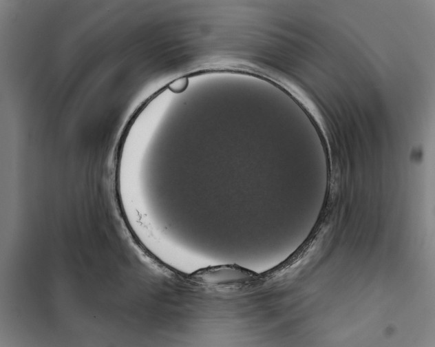 X0000099501053200806121411