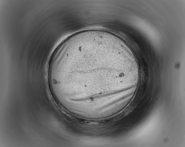 X0000099501054200806121411