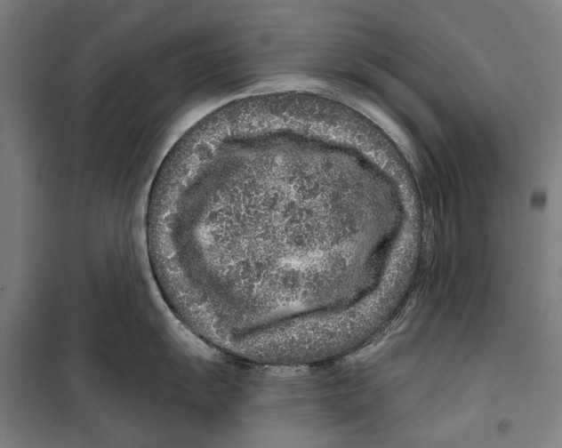 X0000099501055200806121411