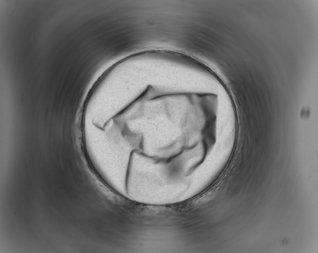 X0000099501056200806121411