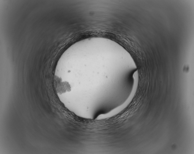 X0000099501057200806121410