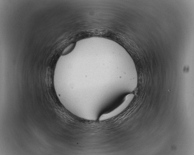 X0000099501058200806121410