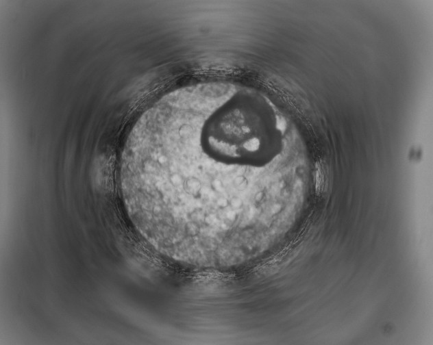 X0000099501059200806121410