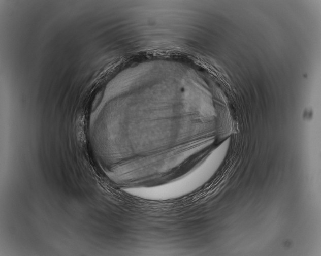 X0000099501060200806121410