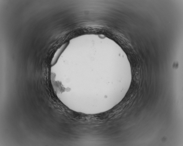 X0000099501061200806121410