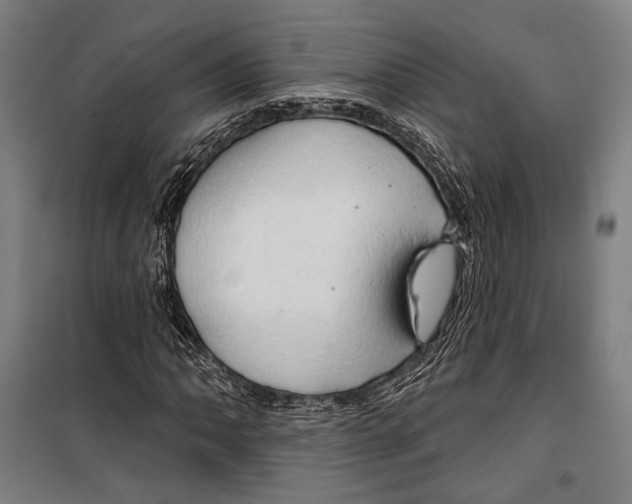 X0000099501062200806121410