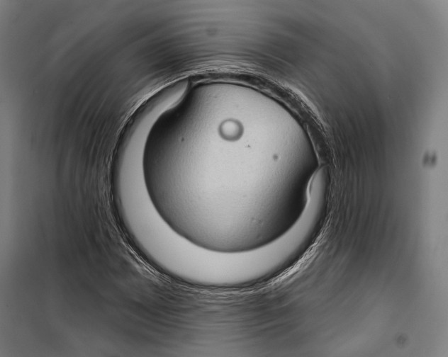 X0000099501065200806121410