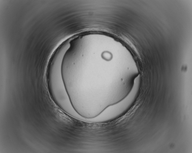 X0000099501068200806121410