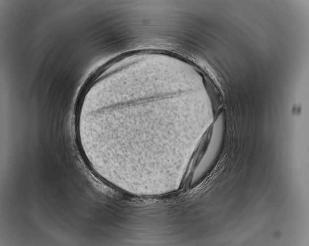 X0000099501072200806121410