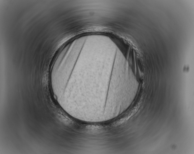 X0000099501073200806121410