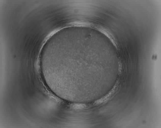 X0000099501074200806121410