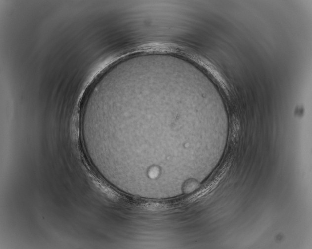 X0000099501075200806121410