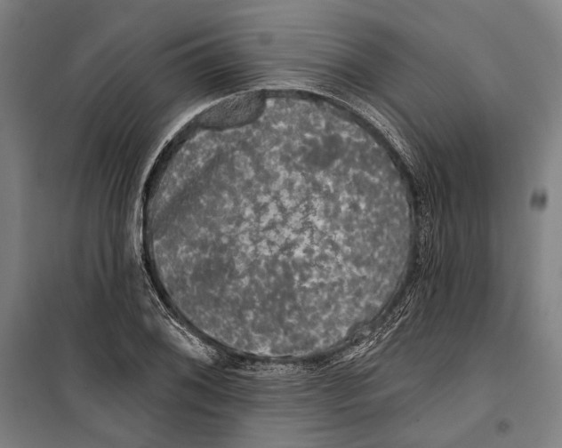 X0000099501076200806121410