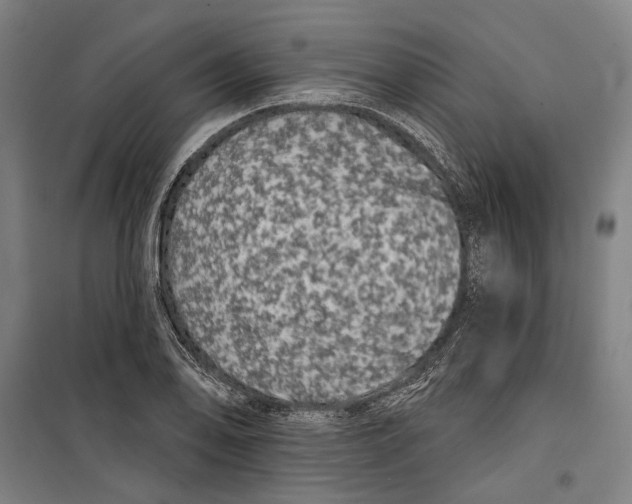 X0000099501078200806121410