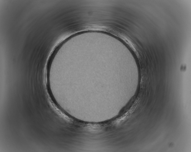 X0000099501080200806121410