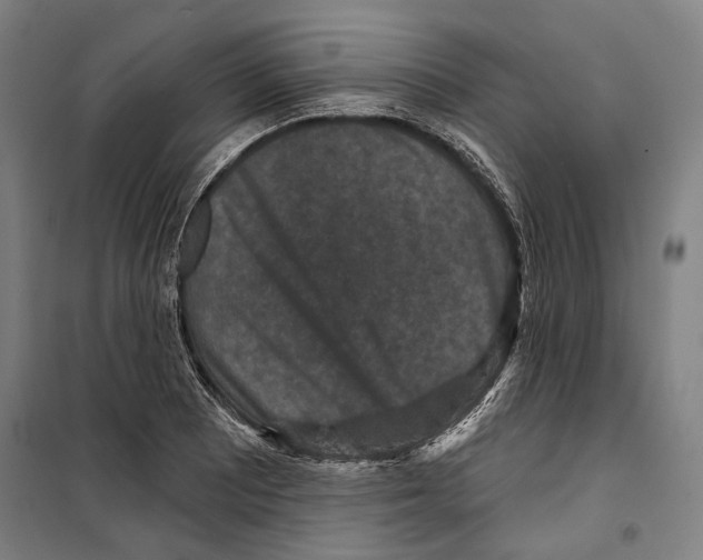 X0000099501081200806121410