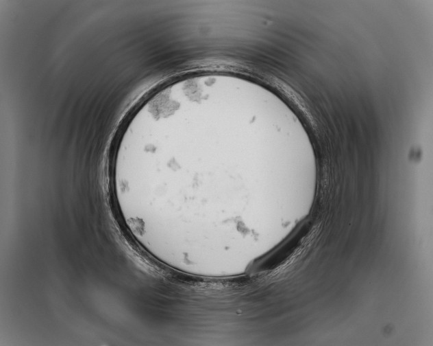 X0000099501082200806121410