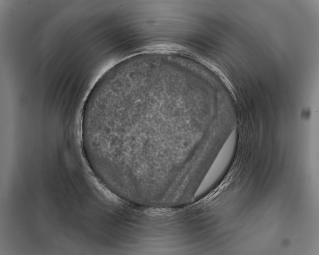 X0000099501083200806121410