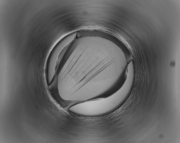 X0000099501084200806121410