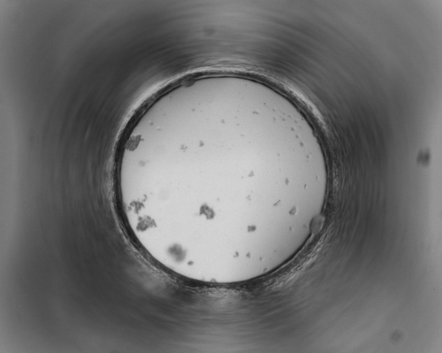 X0000099501085200806121410