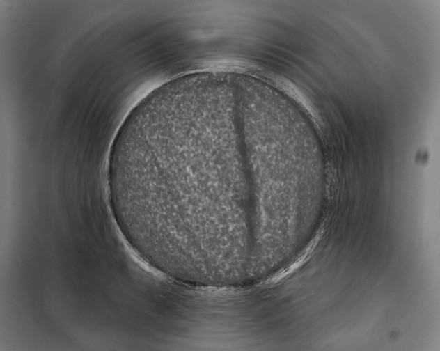 X0000099501087200806121410