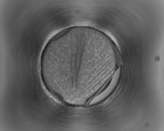 X0000099501088200806121410