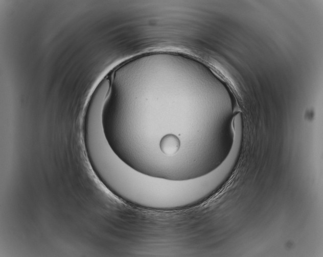 X0000099501092200806121410