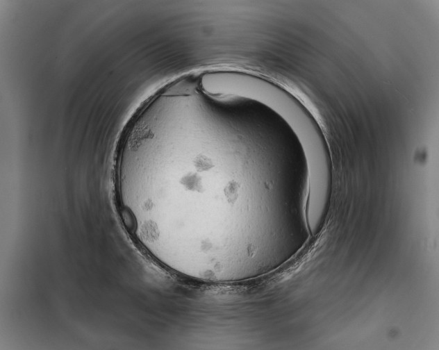 X0000099501093200806121410