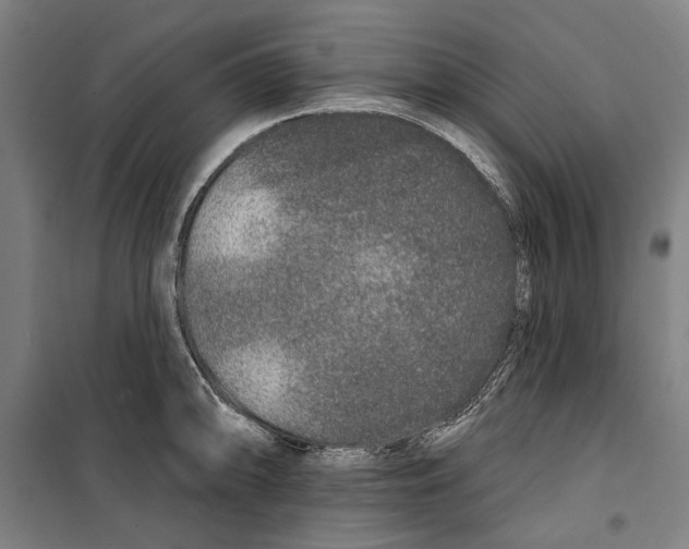 X0000099501094200806121410