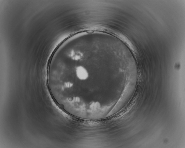 X0000099501095200806121410