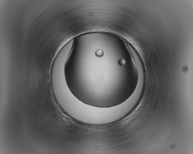 X0000099501097200806121410