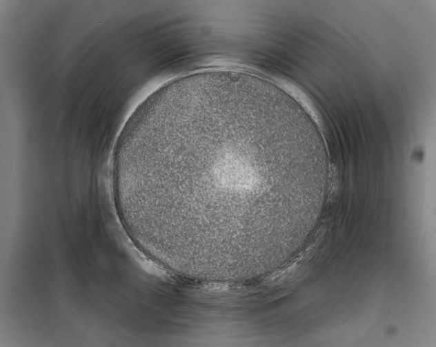 X0000099501098200806121410