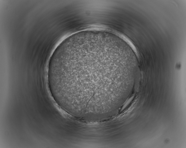 X0000099501099200806121410