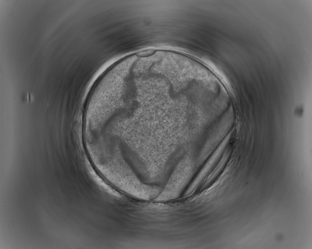 X0000099501100200806121410