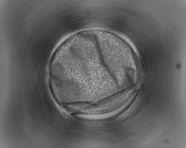 X0000099501101200806121410