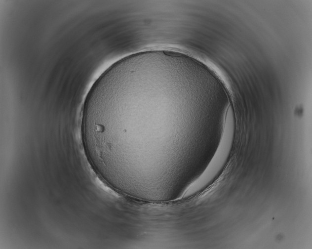 X0000099501102200806121410