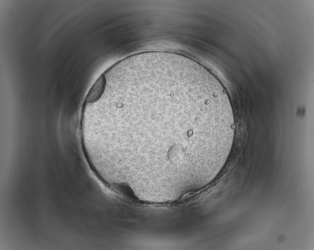 X0000099501103200806121410