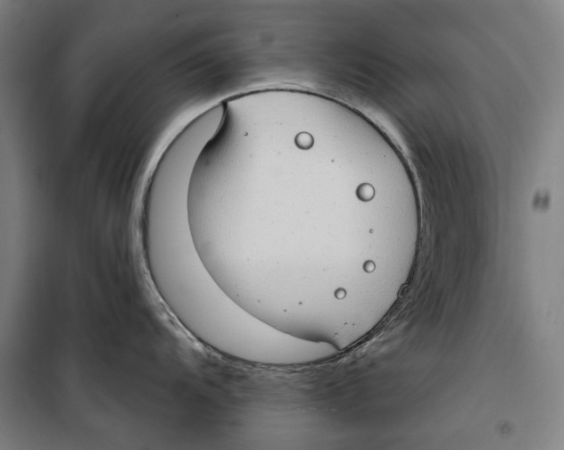 X0000099501104200806121409