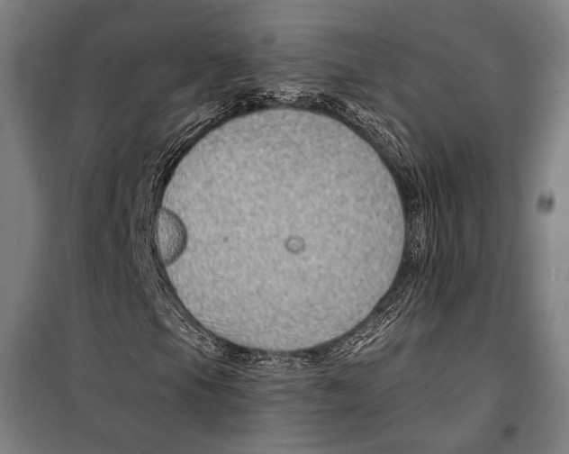 X0000099501105200806121409