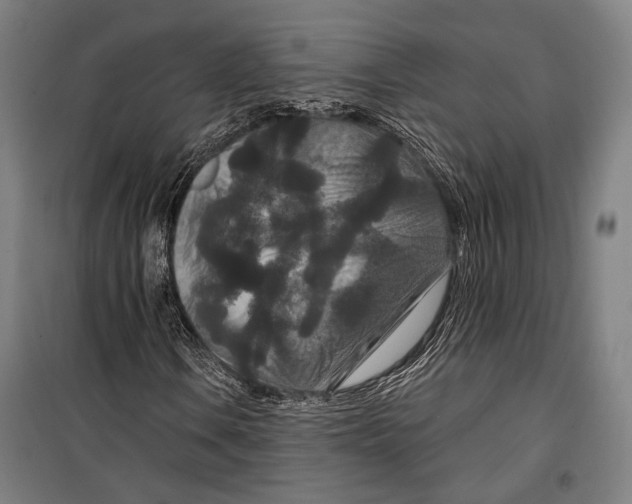 X0000099501106200806121409