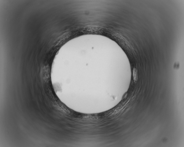 X0000099501107200806121409