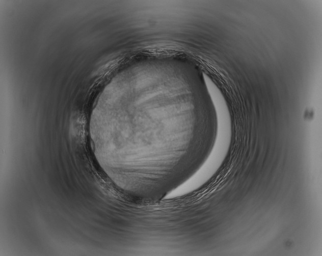 X0000099501108200806121409