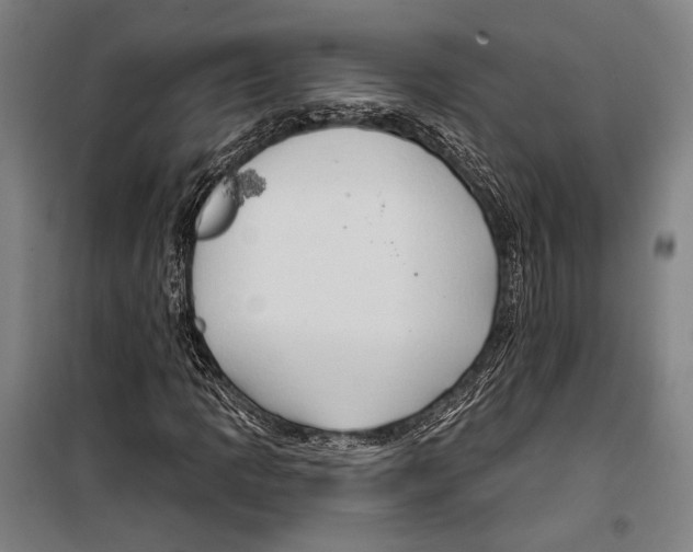 X0000099501109200806121409